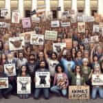 Animal Rights Protest