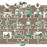 Coffee Production Process Chart