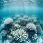 coral bleaching