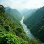 Cat Tien National Park - Diverse Ecosystem