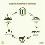 Climate change impact on biodiversity loss