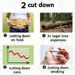 Various uses of 'cut down' in context