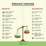 Benefits and drawbacks of organic farming illustrated