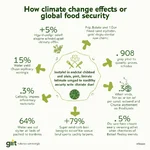 Climate change impacts on global food security