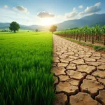 Climate change impact on agriculture