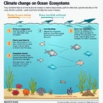 Climate change impacts on ocean ecosystems