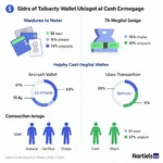 Digital wallets vs cash usage comparison