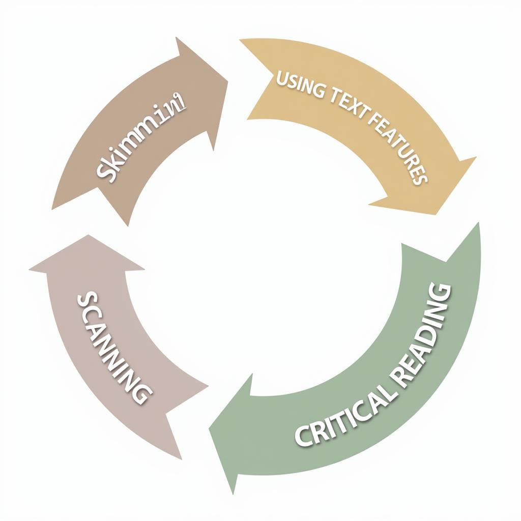 IELTS Holistic Fact-Finding Approach