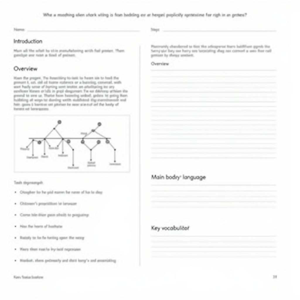 IELTS process writing exercise example