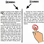 IELTS Reading Skimming and Scanning Techniques