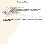 IELTS scanning technique using peripheral vision