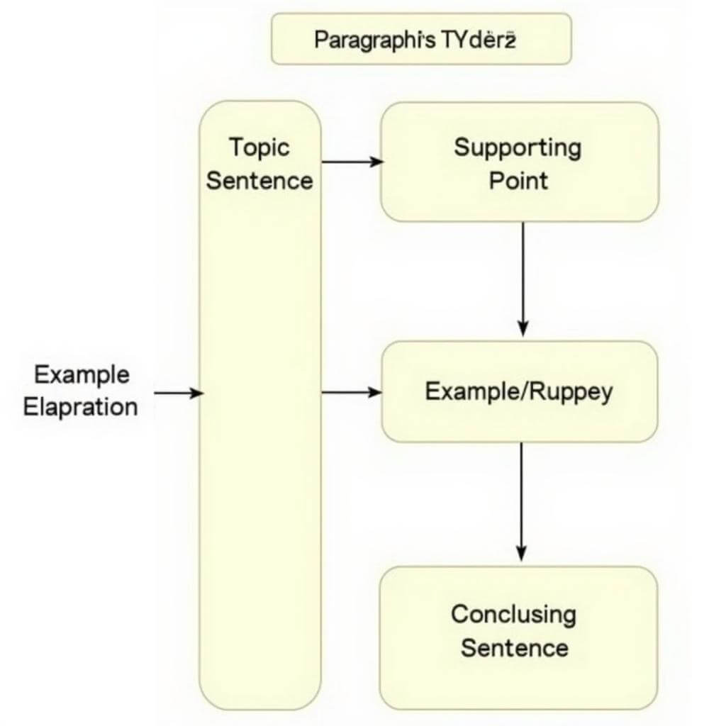 IELTS Writing Task 2 Body Paragraph Structure