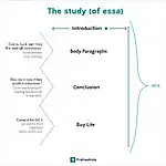 IELTS Writing Task 2 Essay Structure