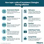 Comparison of Inflation-Resistant Investment Strategies