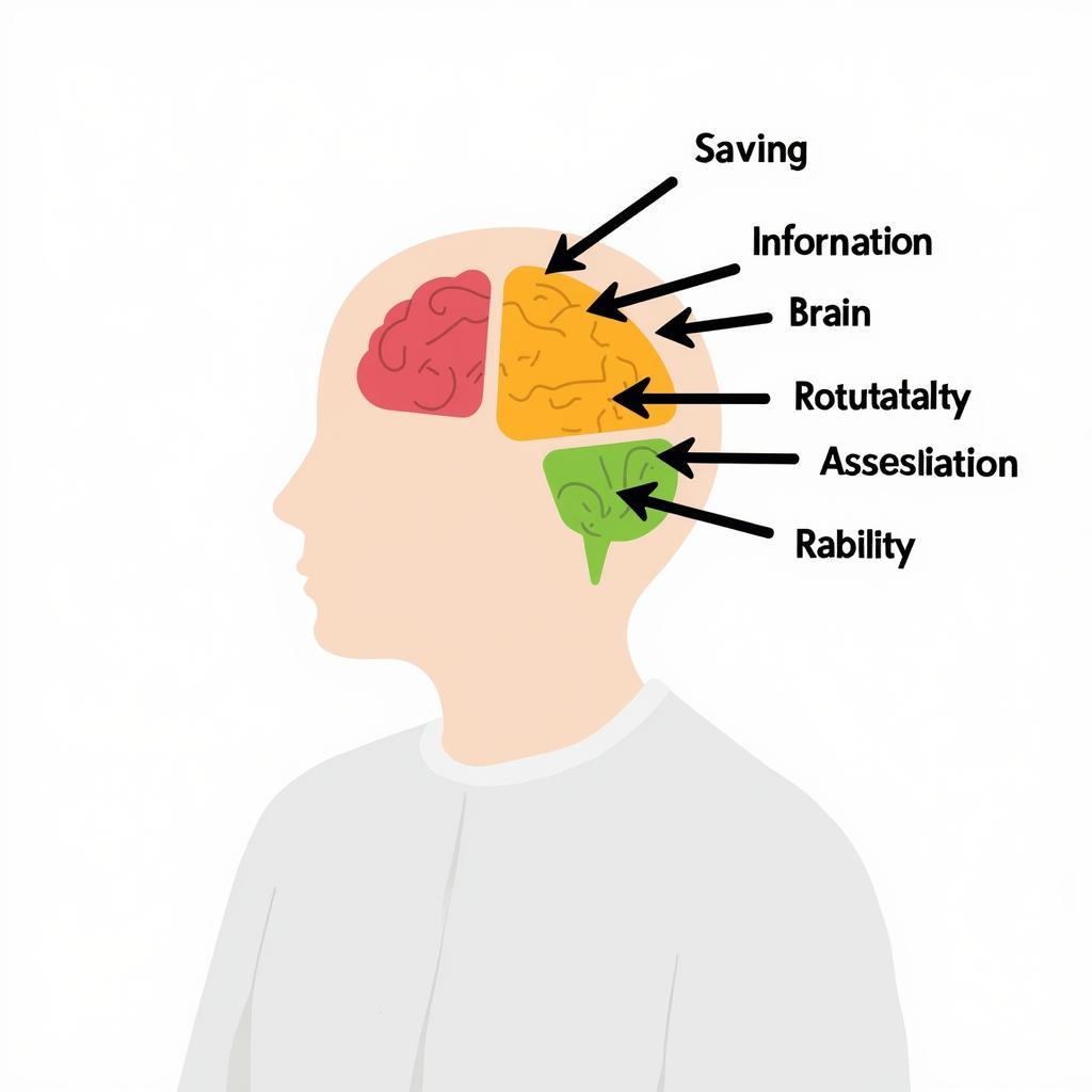 Focusing on key information in IELTS listening