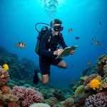 Marine biologist conducting underwater research