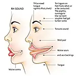 Mouth positioning for IELTS pronunciation