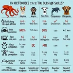 Octopus intelligence compared to other animals