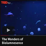 Online video teaching about bioluminescence in deep-sea creatures