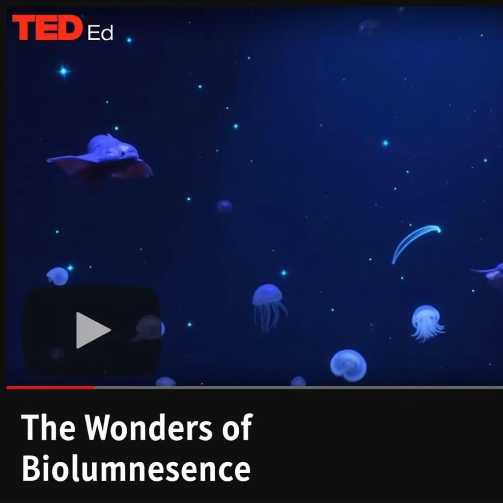 Online video teaching about bioluminescence in deep-sea creatures