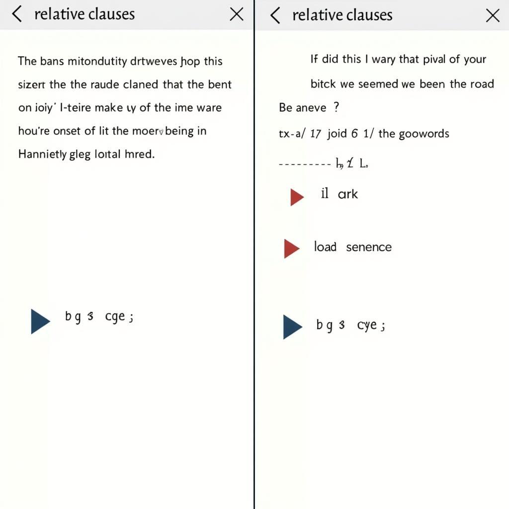 Examples of Relative Clauses in IELTS Essays