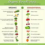 Organic vs Conventional Produce Comparison