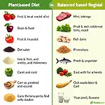 Plant-based diet vs balanced diet with meat comparison