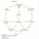 Understanding Complex Monologue Structure in IELTS Listening