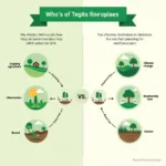 Understanding the causes and effects of deforestation