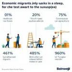 Economic migrants contributing to host country workforce in various sectors