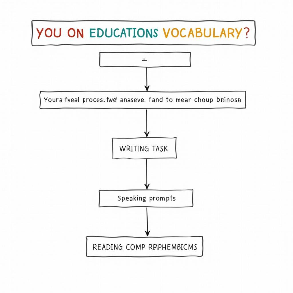 Educational vocabulary practice exercises for IELTS preparation