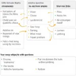 IELTS Reading Question Analysis Strategy Implementation