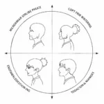 Understanding Speaker Emphasis Patterns in IELTS Listening