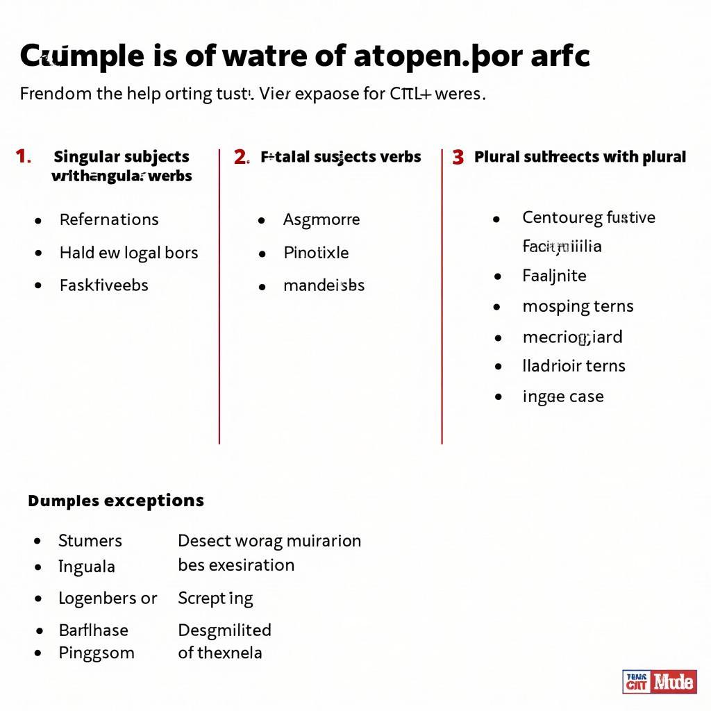 Essential components of subject-verb agreement in IELTS writing