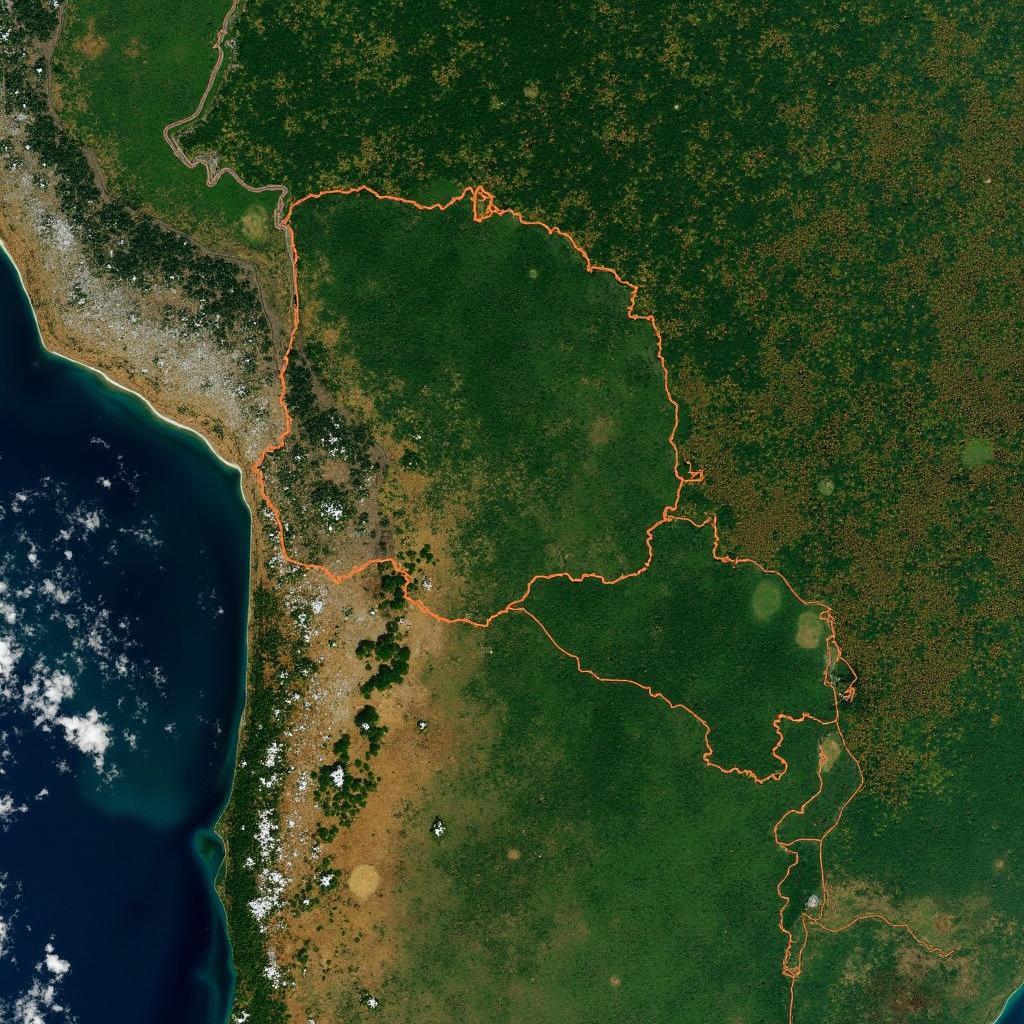 deforestation satellite imagery